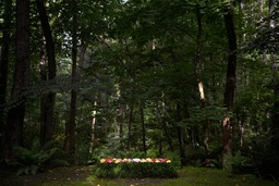 Tolstoy’s grave on the occasion of his birthday, 2016